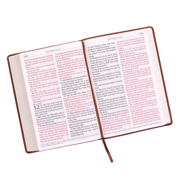 KJV Holy Bible - Image 3